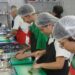 IBGE informa que o desemprego caiu para 5,6% no trimestre encerrado em maio, o menor índice da série histórica para o período, com aumento da população ocupada.
