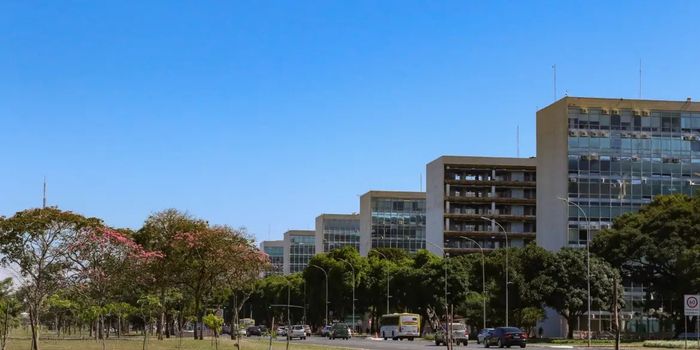 Ministério da Gestão autoriza a nomeação de 85 aprovados em concursos públicos para o MPO, CNEN e ANM. Medidas foram publicadas no Diário Oficial da União.