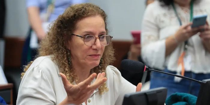 Missão formada por deputados de partidos da base governista apresentou documentos a autoridades americanas e discutiu democracia, economia e cooperação internacional.