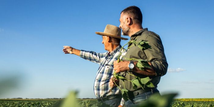 Deputado propõe política estadual para incentivar sucessão familiar na agricultura e estimular permanência de jovens no campo no Espírito Santo.
