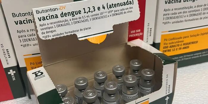 Ministério da Saúde suspende temporariamente a vacinação contra dengue com a vacina do Butantan após casos graves e duas mortes. Investigação busca identificar possíveis fatores de risco.