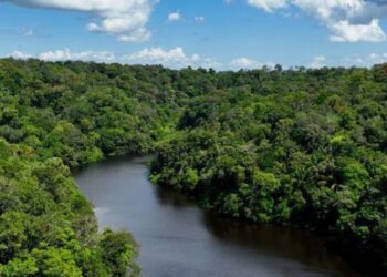 Em pronunciamento nacional, ministro João Paulo Capobianco destacou a redução do desmatamento, investimentos ambientais e ações de prevenção a incêndios diante da previsão de um novo El Niño.
