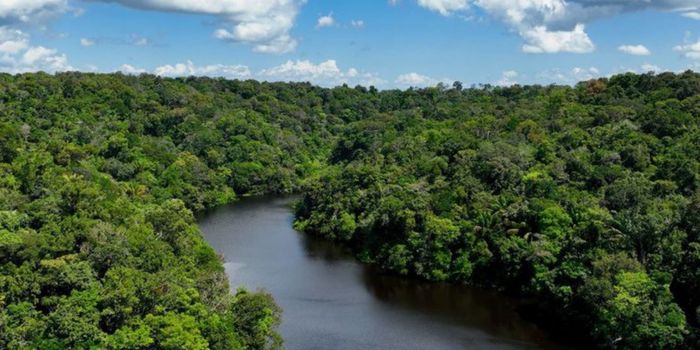 Em pronunciamento nacional, ministro João Paulo Capobianco destacou a redução do desmatamento, investimentos ambientais e ações de prevenção a incêndios diante da previsão de um novo El Niño.