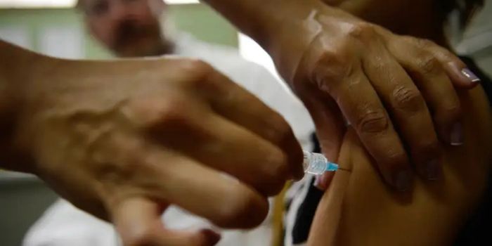 Ministério da Saúde estende vacinação contra HPV para adolescentes de 15 a 19 anos até 31 de dezembro. Mais de 287 mil jovens já receberam a dose.