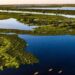 No Dia Mundial do Meio Ambiente, Senado discute projetos voltados ao enfrentamento das mudanças climáticas, transição energética, redução de emissões e fortalecimento da governança ambiental.