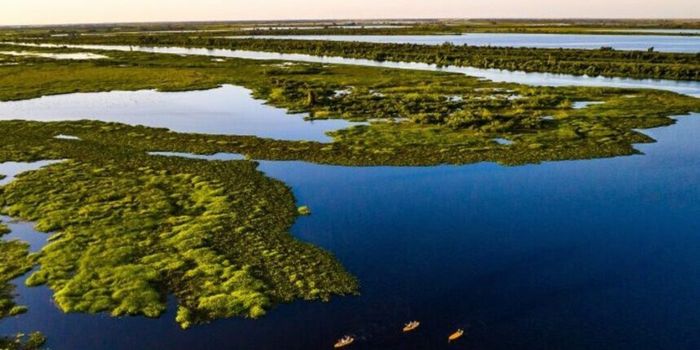 No Dia Mundial do Meio Ambiente, Senado discute projetos voltados ao enfrentamento das mudanças climáticas, transição energética, redução de emissões e fortalecimento da governança ambiental.