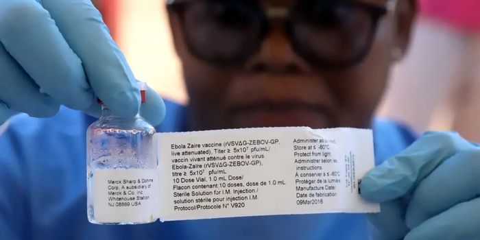 Secretaria de Saúde de São Paulo descarta segundo caso suspeito de ebola. Paciente que esteve na República Democrática do Congo segue internada com gastroenterocolite aguda.