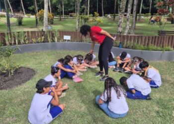 Centro de Educação Ambiental Mata Paludosa promove atividades durante junho e incentiva a conscientização sobre sustentabilidade e conservação urbana.
