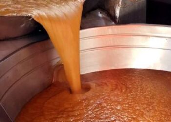 Projeto aprovado na Ales reconhece a produção artesanal de melado da Itália Unita como patrimônio cultural de interesse estadual e valoriza tradição centenária.