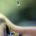 Especialistas alertam que o uso sem orientação médica de corticoides pode provocar glaucoma, aumentar a pressão ocular e causar danos irreversíveis à visão.