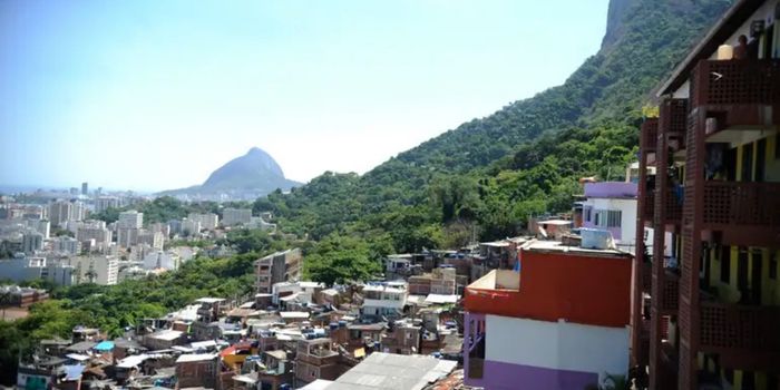 Operação da Polícia Civil no Morro Dona Marta prende suspeitos, provoca tiroteio e deixa passageiro ferido por bala perdida em Botafogo.