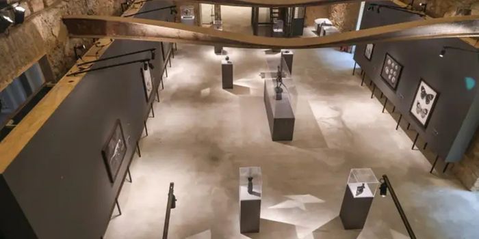 Museu Nacional comemora 208 anos com exposições inéditas e apresenta avanços na reconstrução do palácio atingido pelo incêndio de 2018.