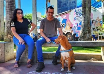 Programa PET Vida chega a Vila Velha com centenas de castrações e vacinação gratuita. Ação reforça cuidados com a saúde e proteção dos animais.