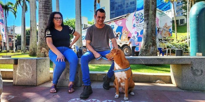 Programa PET Vida chega a Vila Velha com centenas de castrações e vacinação gratuita. Ação reforça cuidados com a saúde e proteção dos animais.