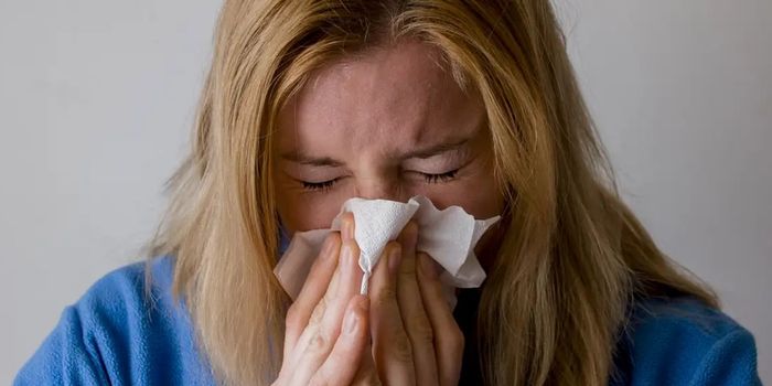 Campanha da Semana Mundial da Alergia reforça a importância do diagnóstico e do controle das doenças alérgicas que atingem milhões de brasileiros.
