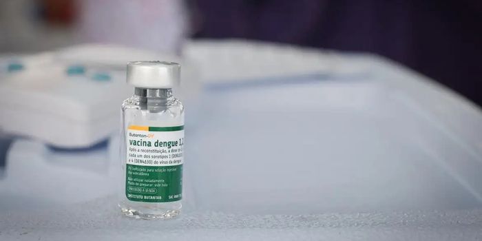 Instituto Butantan mantém estudo clínico da vacina contra dengue na Região Sul após suspensão temporária da imunização para investigação de reações adversas graves.