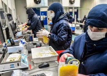 Câmara aprova projeto que permite ao SUS comprar medicamentos hemoderivados diretamente da Hemobrás, fortalecendo a produção nacional e reduzindo custos.