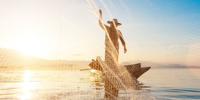 Ministério do Trabalho já liberou R$ 3,13 bilhões em seguro-defeso para 744 mil pescadores artesanais em 2026. Pará e Maranhão lideram número de beneficiários.