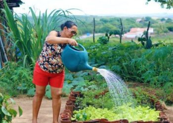 PAA completa 23 anos com resultados expressivos na geração de renda para agricultores familiares e no combate à insegurança alimentar.