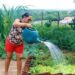 PAA completa 23 anos com resultados expressivos na geração de renda para agricultores familiares e no combate à insegurança alimentar.