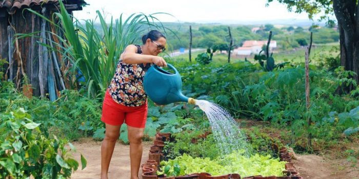 PAA completa 23 anos com resultados expressivos na geração de renda para agricultores familiares e no combate à insegurança alimentar.