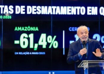 Monitoramento do Inpe mostra queda histórica do desmatamento na Amazônia e redução dos índices no Cerrado. Governo reforça meta de zerar o desmatamento até 2030.