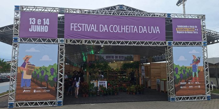 Festival da Colheita da Uva reúne milhares de pessoas em Jaguaré, valoriza a agricultura familiar e destaca o crescimento da produção de uvas no Espírito Santo.