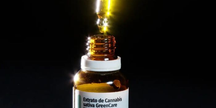 Levantamento com milhares de pacientes revela hábitos de atividade física e principais desafios relatados por usuários de cannabis medicinal.