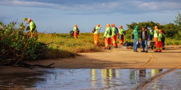 Prefeitura de Vitória retira 46 toneladas de resíduos da Baía de Vitória em operação de limpeza ambiental realizada em manguezais, praias e áreas costeiras da capital.