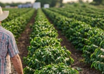 O Espírito Santo bate recorde histórico no crédito rural ao contratar R$ 8,31 bilhões entre julho de 2025 e maio de 2026. Resultado supera média nacional e destaca avanço da agricultura familiar.