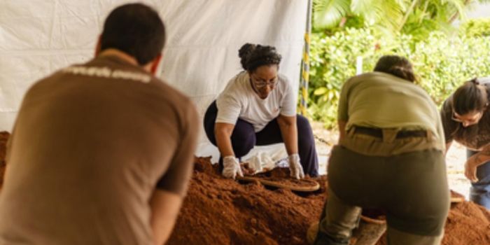 Antigo Cemitério dos Africanos é confirmado em Salvador após escavações arqueológicas. Descoberta destaca ancestralidade, resistência e patrimônio afro-brasileiro.