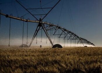 Governo Federal amplia horários de uso do desconto na energia elétrica para irrigação e aquicultura. Medida beneficia produtores rurais e aumenta a eficiência no uso da água e da energia.