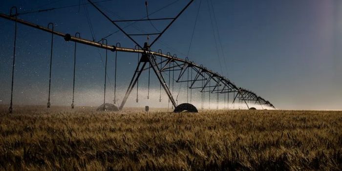 Governo Federal amplia horários de uso do desconto na energia elétrica para irrigação e aquicultura. Medida beneficia produtores rurais e aumenta a eficiência no uso da água e da energia.