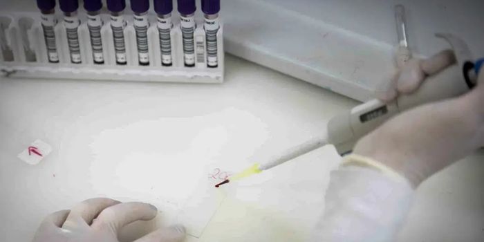 Secretaria de Saúde de São Paulo descarta ebola em paciente internado no Emílio Ribas. Homem vindo do Congo foi diagnosticado com meningite meningocócica e permanece em tratamento.
