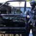 Polícia Federal deflagra Operação Balcãs contra organização criminosa envolvida com tráfico internacional de drogas e lavagem de dinheiro. Justiça determina bloqueio de bens de até R$ 20 milhões.