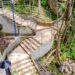 Parque Gruta da Onça, em Vitória, realiza programação especial de educação ambiental em junho com trilhas, vivências na Mata Atlântica e atividades para estudantes e comunidades.