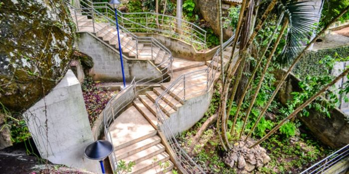 Parque Gruta da Onça, em Vitória, realiza programação especial de educação ambiental em junho com trilhas, vivências na Mata Atlântica e atividades para estudantes e comunidades.