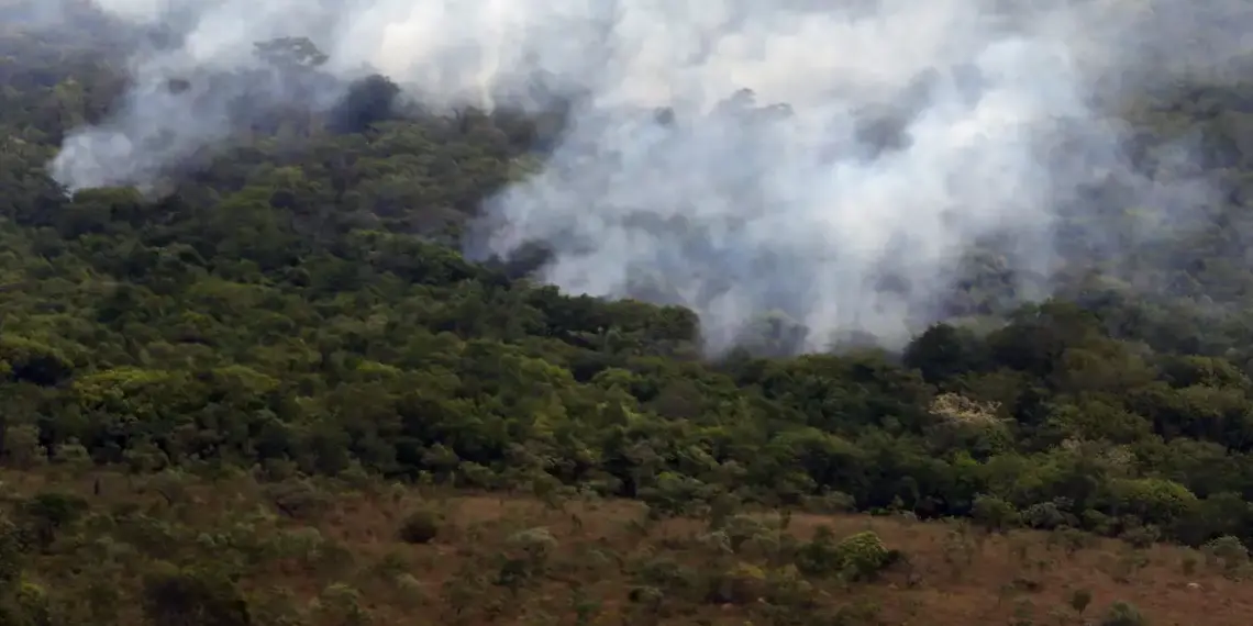 O Copernicus informou que as emissões globais por incêndios ficaram abaixo de 400 megatoneladas de carbono no primeiro semestre de 2026, o menor patamar desde 2003.
