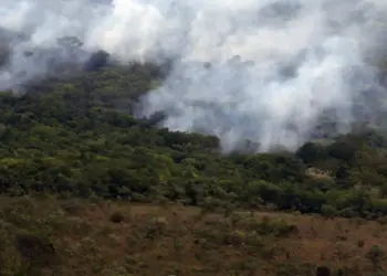 O Copernicus informou que as emissões globais por incêndios ficaram abaixo de 400 megatoneladas de carbono no primeiro semestre de 2026, o menor patamar desde 2003.