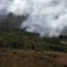 O Copernicus informou que as emissões globais por incêndios ficaram abaixo de 400 megatoneladas de carbono no primeiro semestre de 2026, o menor patamar desde 2003.