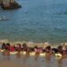 Sobrasa alerta que quatro crianças morrem por dia por afogamento no Brasil e lança campanha nacional de prevenção durante as férias escolares.