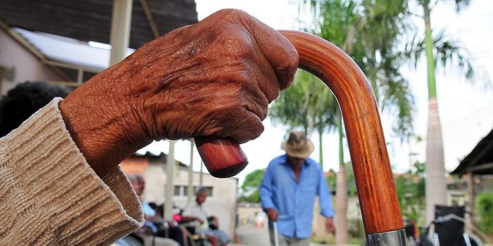PLN 23/2026 autoriza crédito suplementar de R$ 185,5 bilhões para Previdência, Bolsa Família e outros benefícios sociais.
