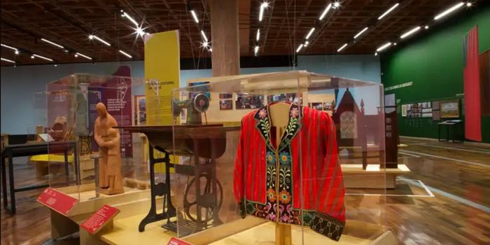Museu do Ipiranga abre exposição sobre a história multicultural da Liberdade, em São Paulo, com entrada gratuita até janeiro de 2027.