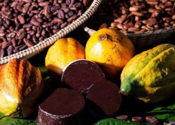 Senado avança com projetos voltados ao agronegócio, agricultura sustentável, crédito rural, fertilizantes e combate ao desperdício de alimentos.