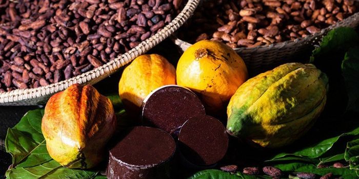 Senado avança com projetos voltados ao agronegócio, agricultura sustentável, crédito rural, fertilizantes e combate ao desperdício de alimentos.