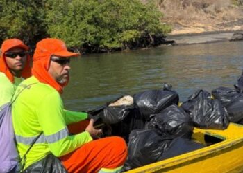 Ação ambiental em Vitória retira 500 quilos de lixo do manguezal e destaca papel das comunidades tradicionais na preservação.
