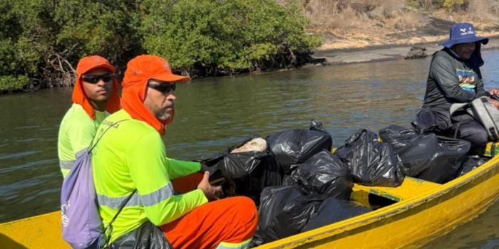 Ação ambiental em Vitória retira 500 quilos de lixo do manguezal e destaca papel das comunidades tradicionais na preservação.