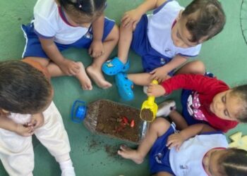 Projeto em Cmei de Vitória ensina crianças sobre germinação, reciclagem e alimentação saudável com hortas feitas em garrafas PET.