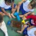 Projeto em Cmei de Vitória ensina crianças sobre germinação, reciclagem e alimentação saudável com hortas feitas em garrafas PET.