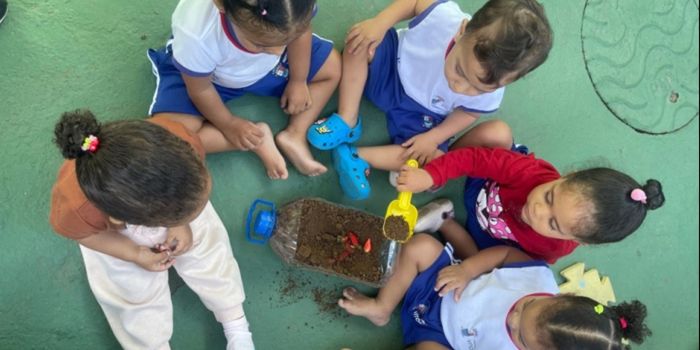 Projeto em Cmei de Vitória ensina crianças sobre germinação, reciclagem e alimentação saudável com hortas feitas em garrafas PET.